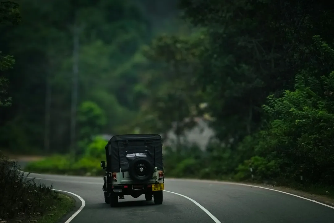 Thekkady forest